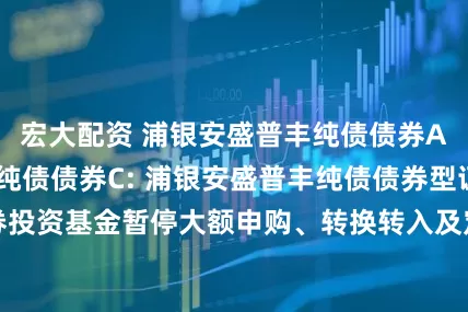 宏大配资 浦银安盛普丰纯债债券A,浦银安盛普丰纯债债券C: 浦银安盛普丰纯债债券型证券投资基金暂停大额申购、转换转入及定期定额投资业务的公告