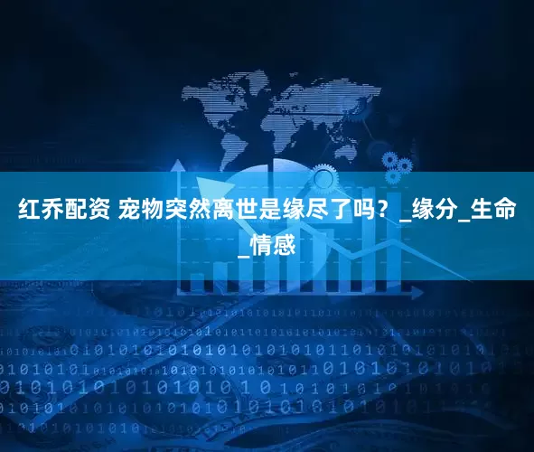 红乔配资 宠物突然离世是缘尽了吗？_缘分_生命_情感
